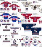 Customized American Hockey League Hamilton Bulldogs Hockey Jersey