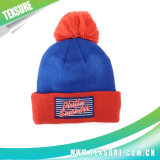 Customized Acrylic Cuffed Winter Knitted Hat with Ball Top (089)