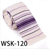 Men's Fashionable 100% Polyester Knitted Necktie (WSK-120)