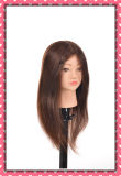 Human Hair Manequin Head 20inches for Hair Style Training