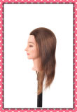 100% Human Hair Mannequin Head 20inches for Beauty School Training