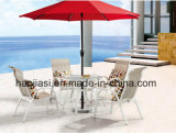 Outdoor /Rattan / Garden / Patio Furniture Texilene Cloth Chair & Table Set (HS 2011C& HS6090ADT)