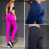 Free Sample Top Quality and Short Leatime Sexy Yoga Pants
