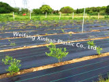 Weed Block Fabric for Agriculture and Landscape