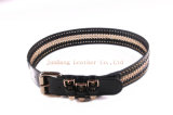 Three Loops with Gold Buckle Chain Belt