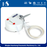 HS08-2AC-SK Best Sell China Makeup Small Compressor