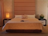 Luxury Hotel Bedding Set (SDF-B011)