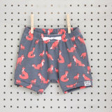 Infant Boys Clothes All-Over Printing Short Pants