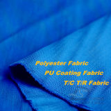 50d 290t Woven Polyester Fabric (H063)