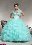 2016 Latest New Fashion Ball Gowns, Quinceanera Dresses (QG004)