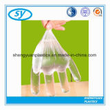 Disposable Food Industry Plastic PE Glove