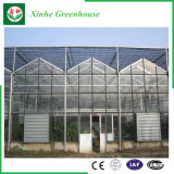Glass Grow Tent for Vegetable/Flower/Fruit
