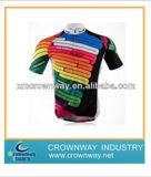 Colorful Mens Cycling Perfessional Jersey with High Quality (CW-S-CJ42)