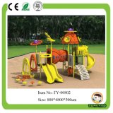 Popular Outdoor Playground Equipment for Children (TY-00802)