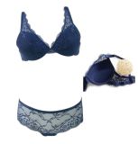 2016 New Design Bra with Trimmed Panty for Ladies (FPY320)