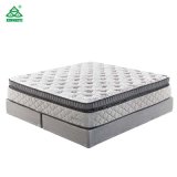New Designs for Bedroom Furniture Hot Selling Mattress