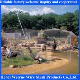 Stainless Steel Cable Netting for Zoo Enclosure