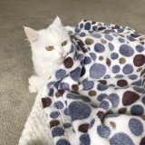 Pet Product Thicken Comfortable Coral Fleece Mat / Air Conditioning Cat Dog Blanket