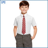 Slim Fit Boys' Ultimate Non-Iron Short Sleeve Shirts with Stain Away