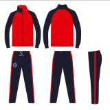 2 Colors Cheap Tracksuit Sportswear with Embroidery Badge