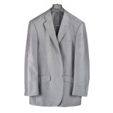 2013 Top Quality Mens Dress Suits (pH-24)