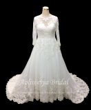 Aolanes Long Sleeve Applique Trim Lace Wedding Gown