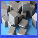Tungsten Carbide Buttons for Oil-Field