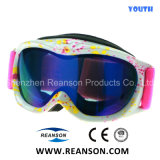 Comfortable Fit Double Lenses Anti Fog Youth Snow Glasses