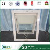 Plastic Sound Insulation Exterior Awning Window with Blinds Design