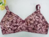 Indian Style Thin Cup Plus Size Bra (CS904)