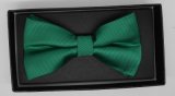 New Design Fashion Men's Woven Bow Tie (DSCN0020)