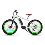 Man Style 48V 1000W Adult Mountain Electric Snow Bike for Sale