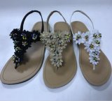 Hot Sell Summer Fashion Sandals