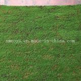 Eco-Friendly Artificial Fake Green Sheet / Carpet Moss for Wall Decoration