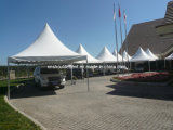 Small Gazebo Tent Pagoda Tent for Exhibition (SDC005)