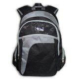 Functional Polyester Backpack for Laptop, Outdoor, Sports, Gym (BSA12303)