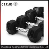 Black Dumbell / Rubber Hex Dumbbell Tz-8001