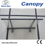Steel Structure Polycarbonate Canopy Awnings (B900)