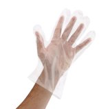 Glove Plastic Gloves Disposable Gloves