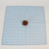 Hot Competitive Printed Checked Cotton Dinner Cloth