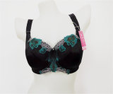 New Arrival Sexy Lace Big Size Bra for Lady (CS9930)