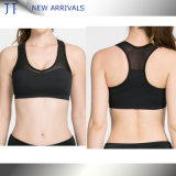 Wholesale Workout Clothing Custom Sexy Sports Wear Ladies Sports Bra