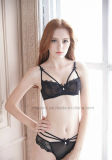 European Hot Selling Ladies Lace Brief and Bra