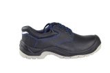 Low Cut Safety Shoes with CE Certificate (SN1623)