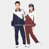 Cotton School Clothing, Uniforms, Sport Suit (LA-X008)