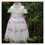 High Quality Embroider Tulle Dress for Baby Girls Kids Clothes for MID East