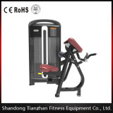 Tz-4013 CE Approved Exercise Equipment Biceps Curl Machines