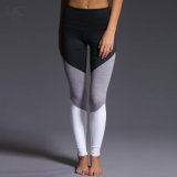 2017 Latest Design Leggings Hot Sex Tight Leggings Wholesale Best Yoga Pants for Women