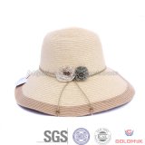2014 Hot Sell Woman Fashion Straw Hat