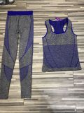 Wholesale High Quality of Women's Sportwear Fitness Sets Yoga Sets